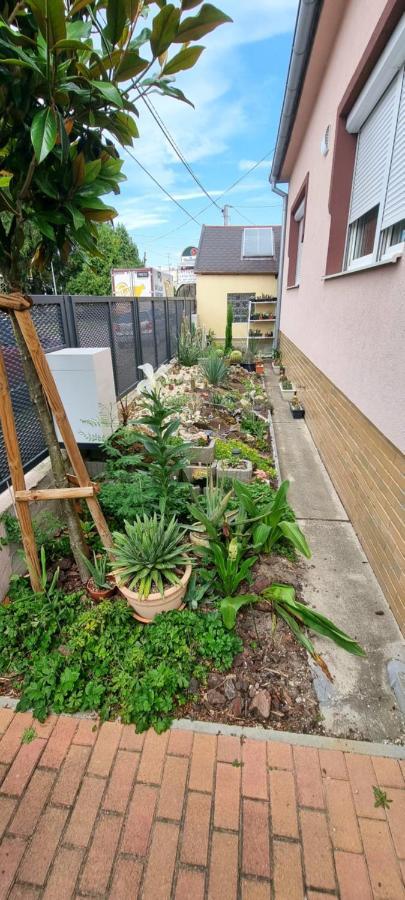 Bolek Apartmany Veľký Meder Exterior foto